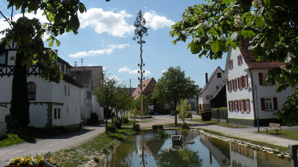 Nahwärme für Oberndorf Quartierskonzept zeigt wirtschaftliche